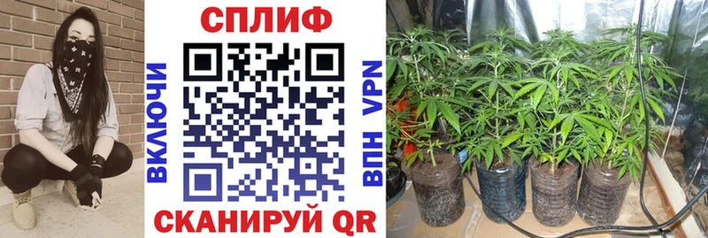 Бошки марихуана марихуана  как найти закладки  Анива 